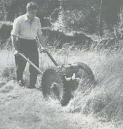 The Allen Scythe was in its element cutting long grass!