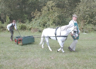 Members of the Hall & Duck Trust team show how to use a pony mower at the Saltex exhibition, 2000.